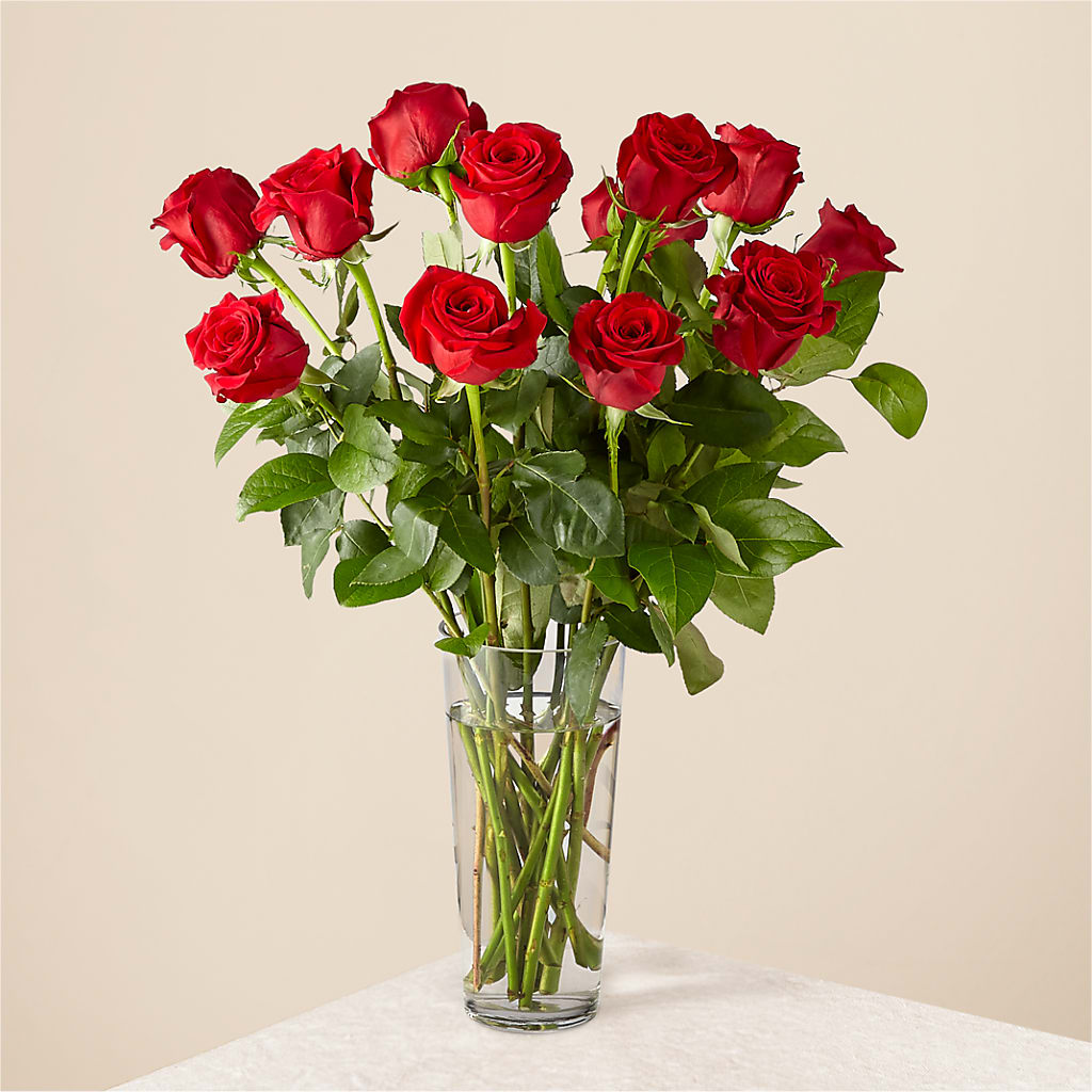 Long Stem Red Rose Bouquet – CINDY'S FLOWERS AND GIFTS, Colonia NJ