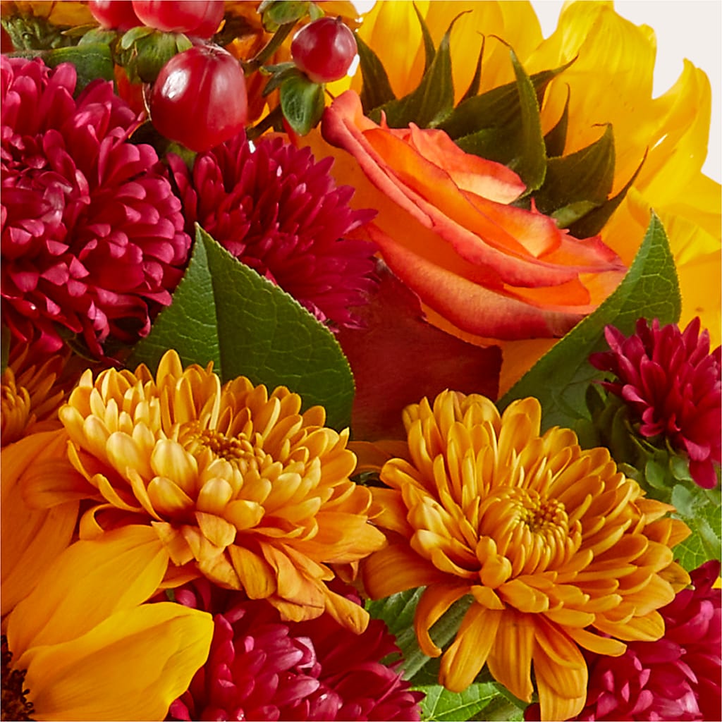 Sweater Season - A Florist Original – CINDY'S FLOWERS AND GIFTS, Colonia NJ