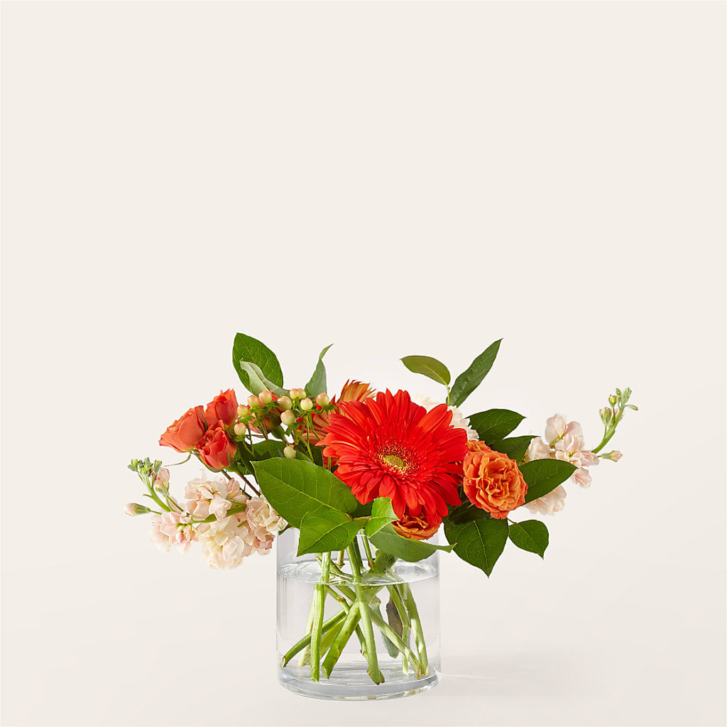 Paloma Please Bouquet – CINDY'S FLOWERS AND GIFTS, Colonia NJ