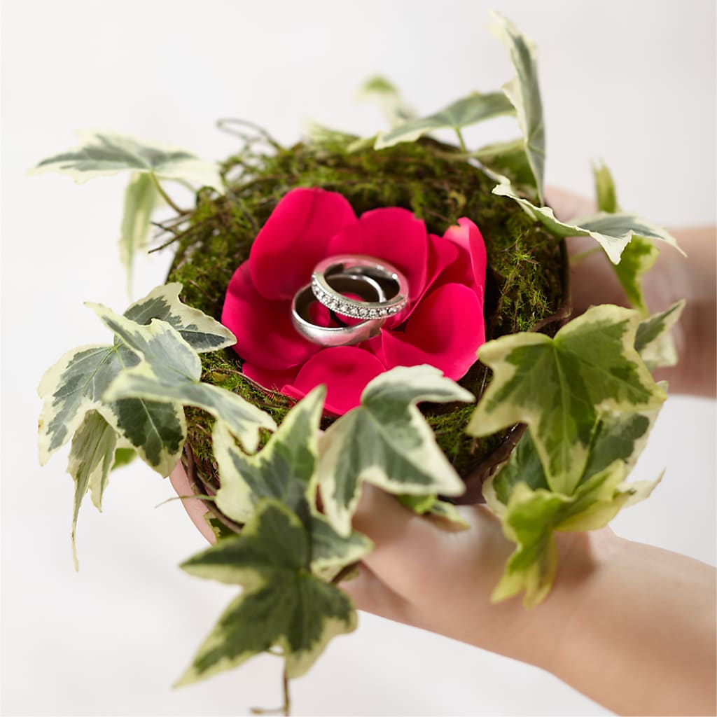 Lila Rose Ring Nest – CINDY'S FLOWERS AND GIFTS, Colonia NJ