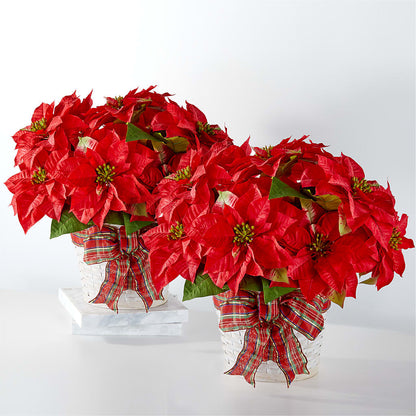 Happiest Holidays Poinsettia Bundle – CINDY'S FLOWERS AND GIFTS, Colonia NJ