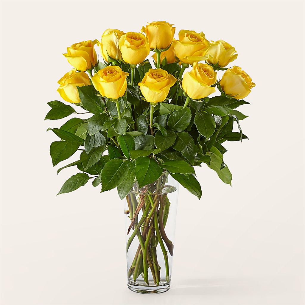 Long Stem Yellow Rose Bouquet – CINDY'S FLOWERS AND GIFTS, Colonia NJ