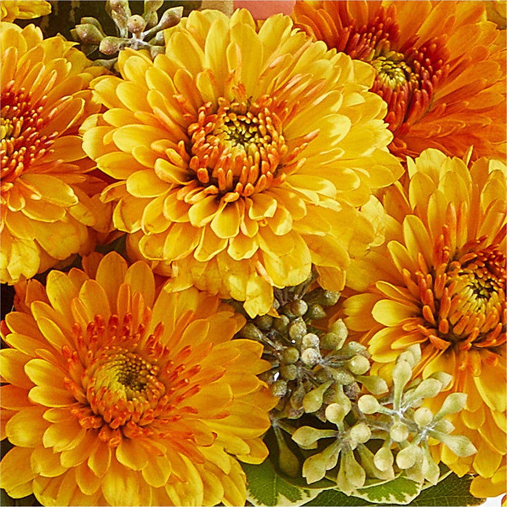 Peachy Pumpkin – CINDY'S FLOWERS AND GIFTS, Colonia NJ