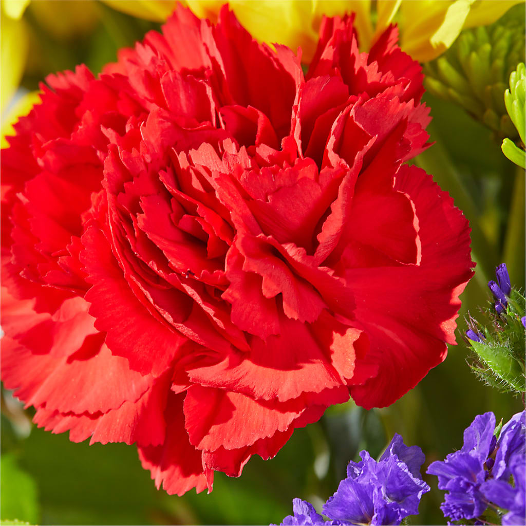 Brighter Days Bouquet – CINDY'S FLOWERS AND GIFTS, Colonia NJ