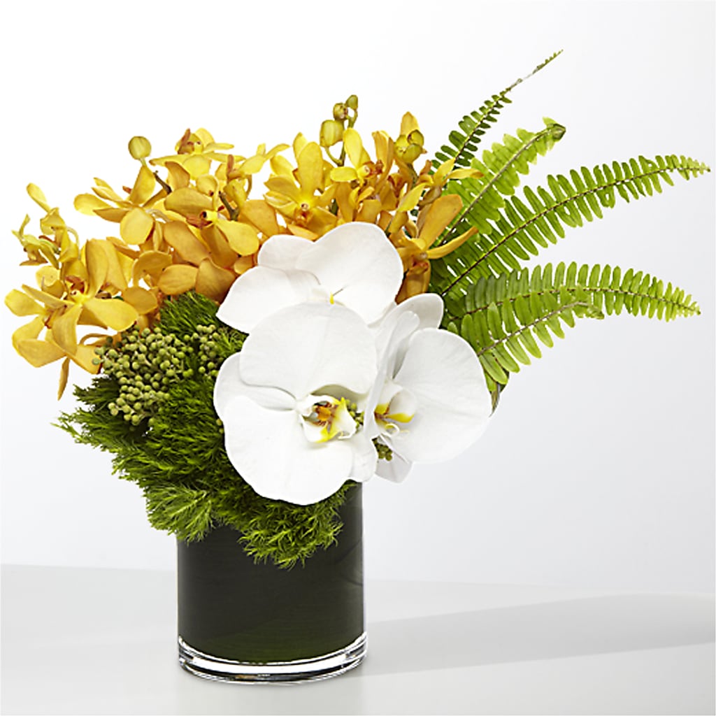 The Tropics – CINDY'S FLOWERS AND GIFTS, Colonia NJ