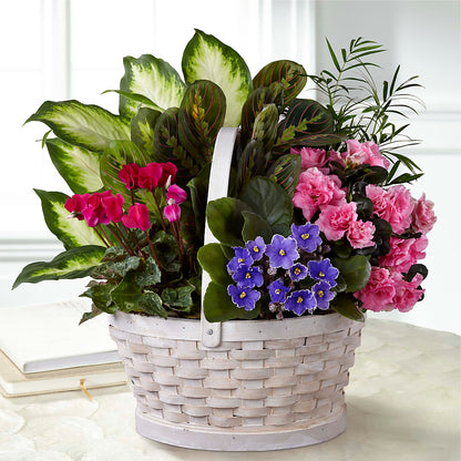 Peaceful Garden Planter – CINDY'S FLOWERS AND GIFTS, Colonia NJ