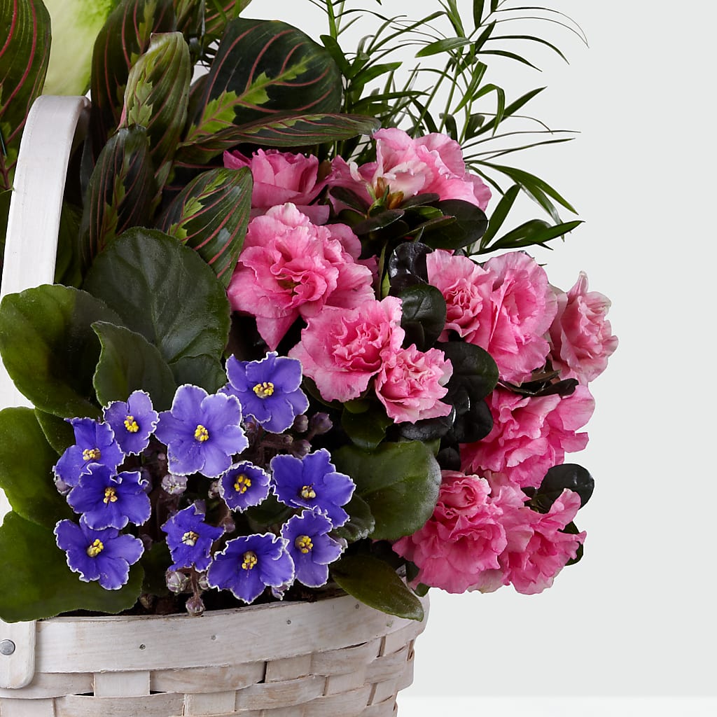 Peaceful Garden Planter – CINDY'S FLOWERS AND GIFTS, Colonia NJ