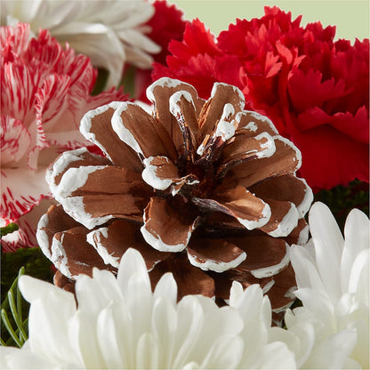 Candy Cane Lane Bouquet – CINDY'S FLOWERS AND GIFTS, Colonia NJ