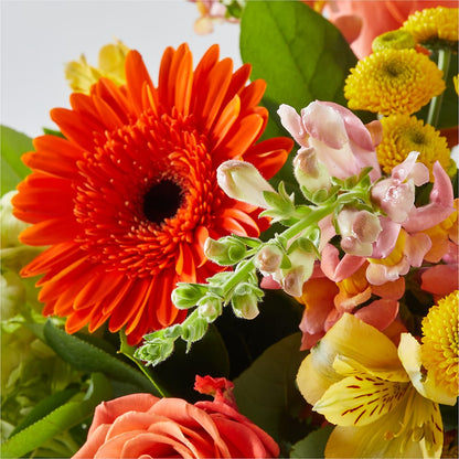 Autumn Sunshine Bouquet – CINDY'S FLOWERS AND GIFTS, Colonia NJ