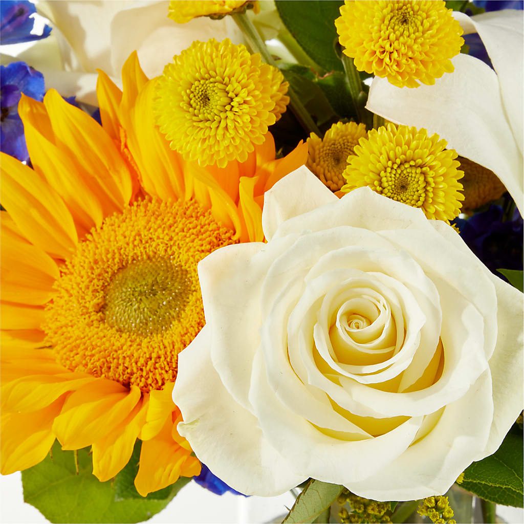 Stargazing Bouquet – CINDY'S FLOWERS AND GIFTS, Colonia NJ