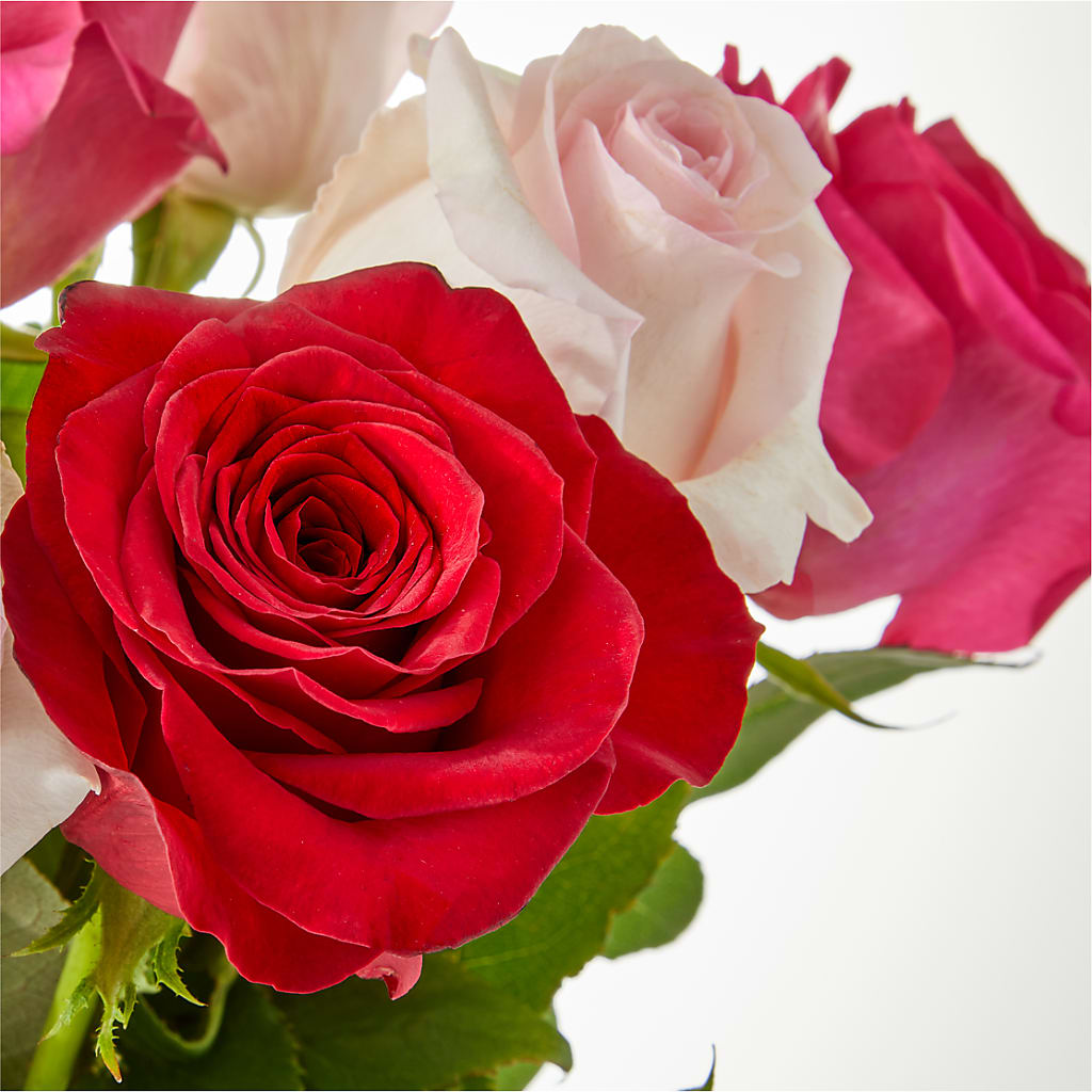 Charming Rose Bouquet – CINDY'S FLOWERS AND GIFTS, Colonia NJ