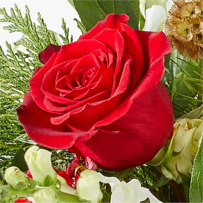 Deck the Halls Bouquet – CINDY'S FLOWERS AND GIFTS, Colonia NJ