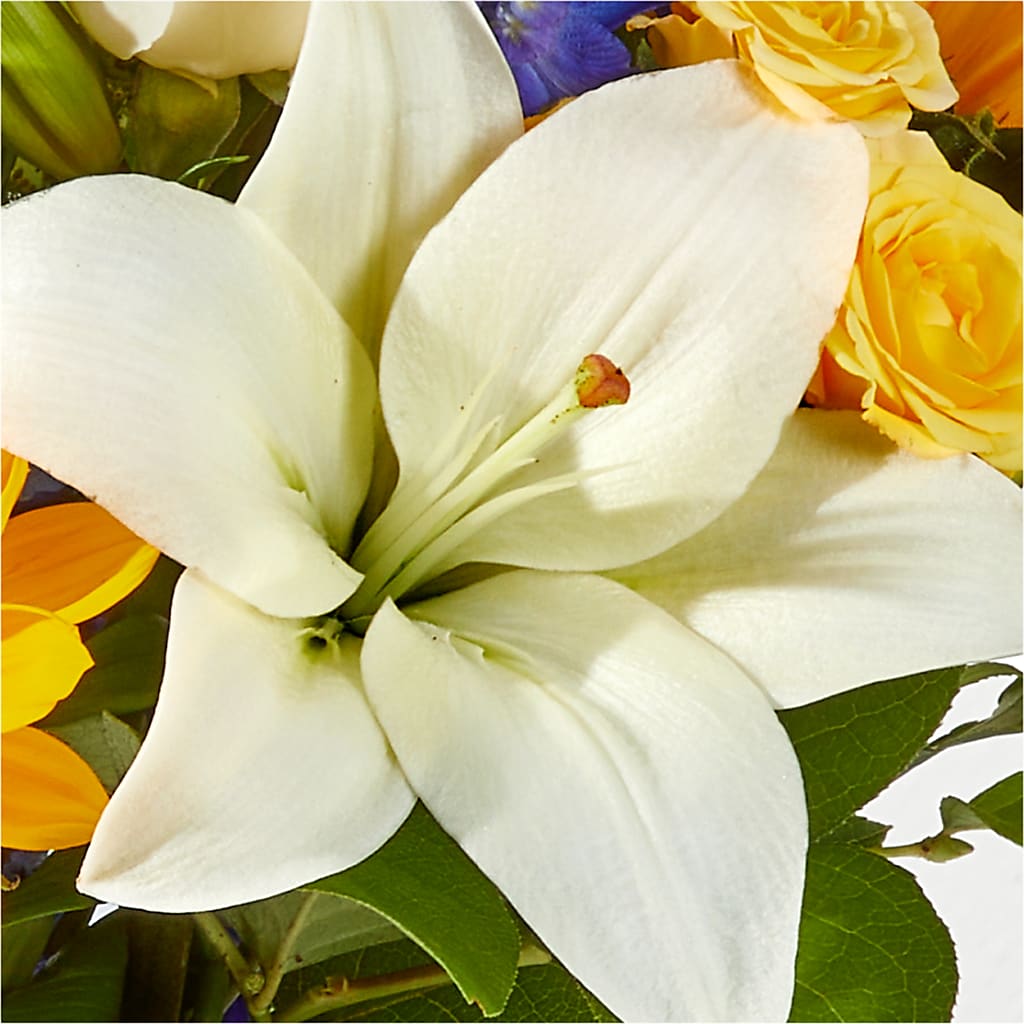 Wonderfully Sunny Bouquet – CINDY'S FLOWERS AND GIFTS, Colonia NJ
